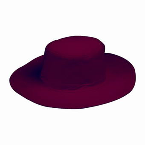 burgundy fall hat